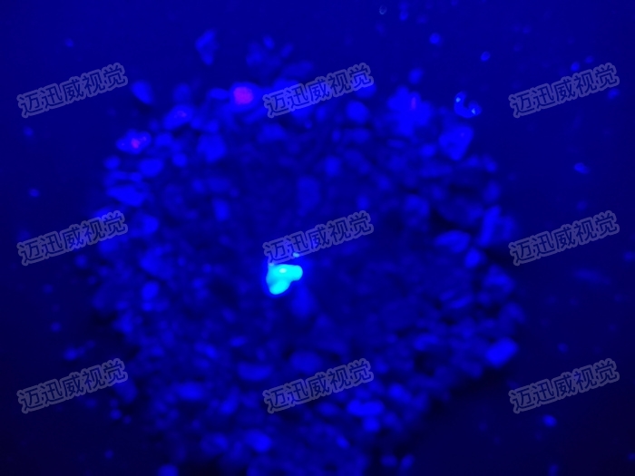 顆粒物雜質檢測1.jpg